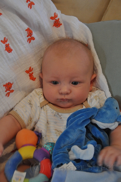 William's Eleventh Week 38.jpg